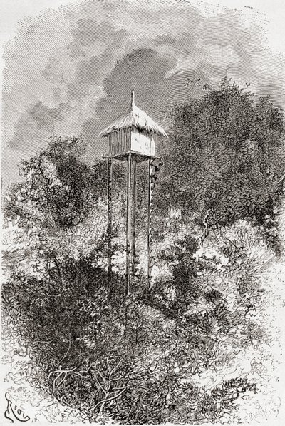 タンザニアのウサガラにあるウサガランの穀倉の納屋、「アフリカピントレスカ」から1888年に出版 作： Spanish School